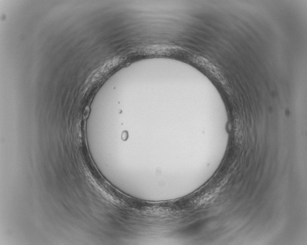 X0000059840633200511181514