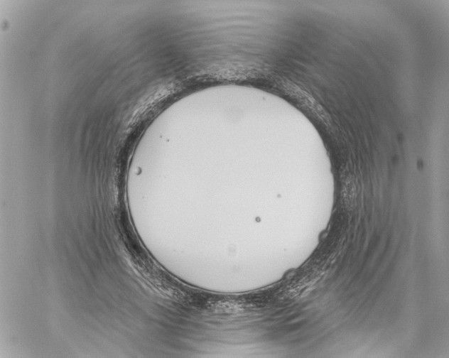 X0000059840635200511181514