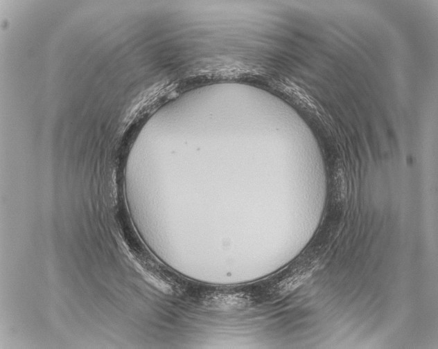 X0000059840638200511181514