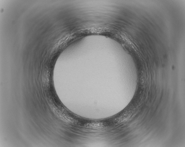 X0000059840639200511181514