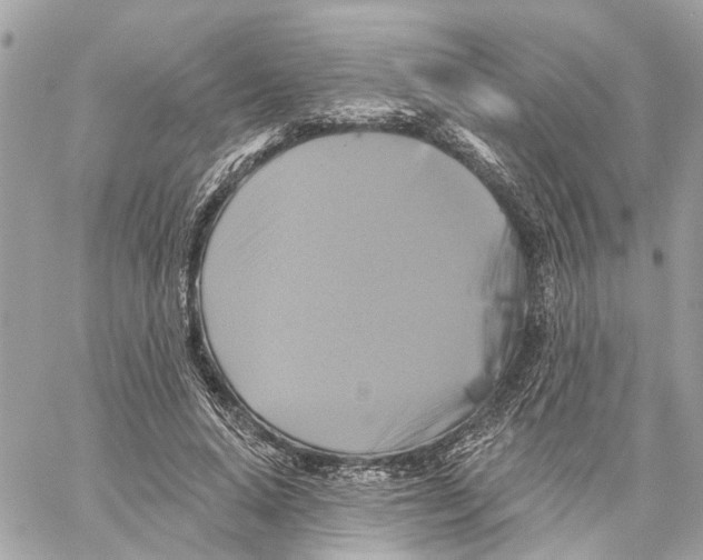 X0000059840640200511181514