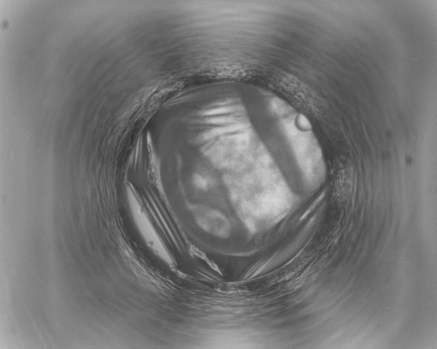 X0000059840643200511181514