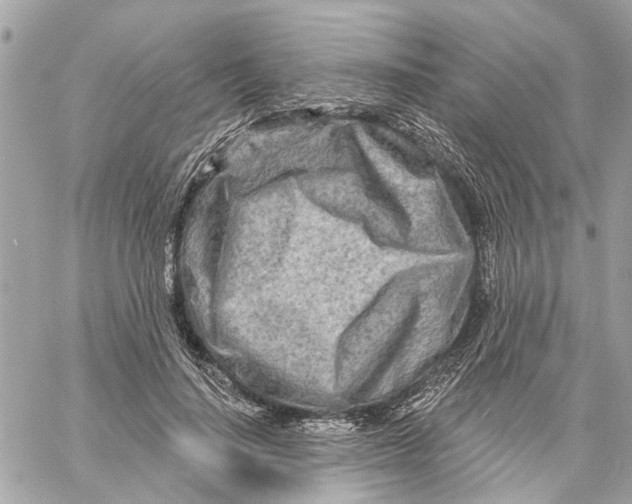 X0000059840644200511181514