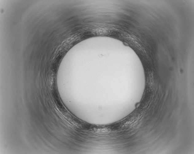 X0000059840645200511181514