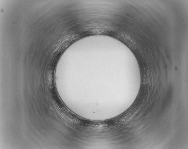 X0000059840646200511181514