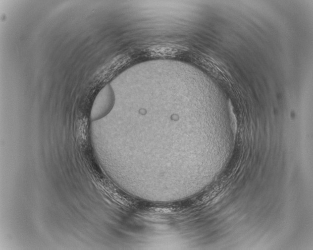 X0000059840649200511181514