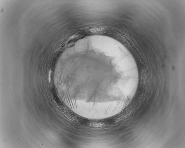 X0000059840650200511181514