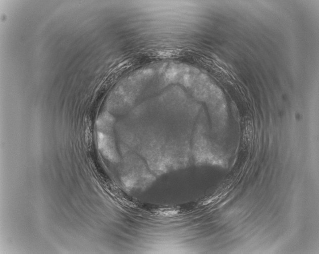 X0000059840651200511181514