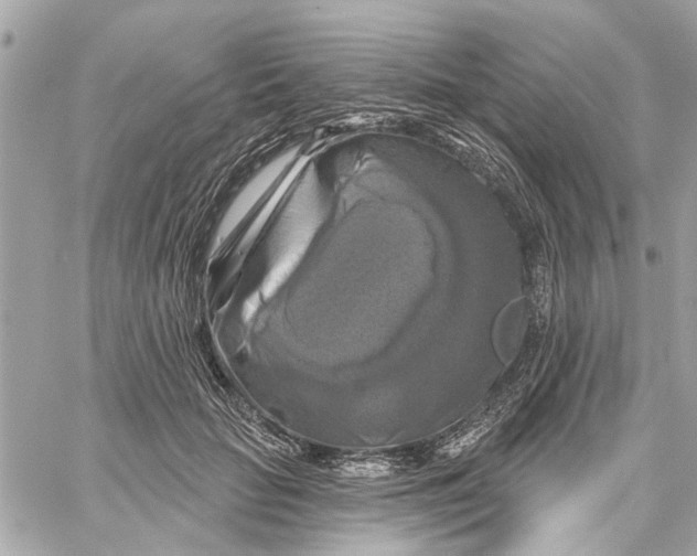 X0000059840653200511181514