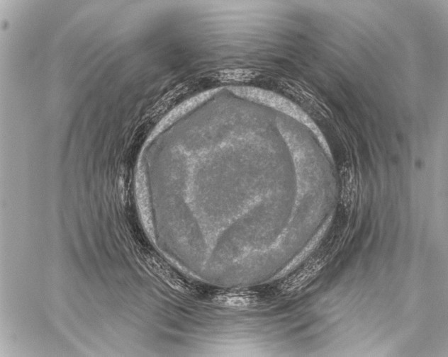 X0000059840655200511181514