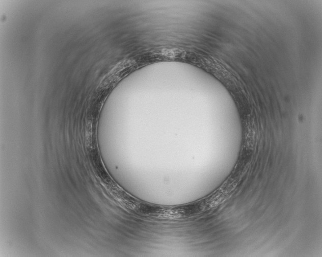 X0000059840656200511181514