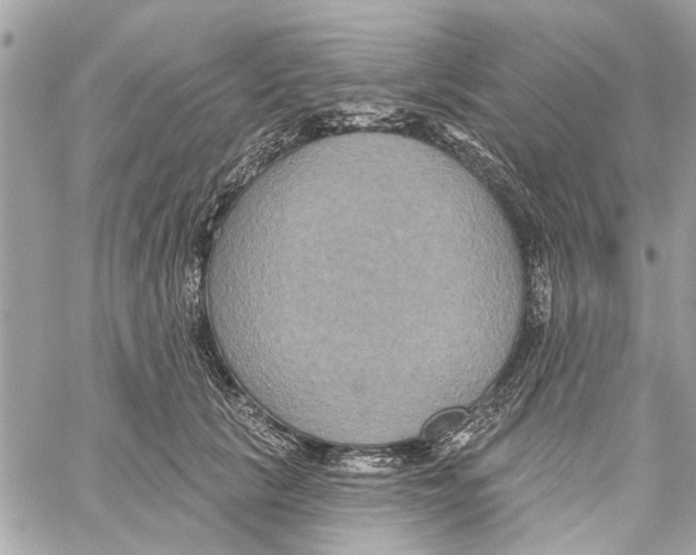 X0000059840657200511181514