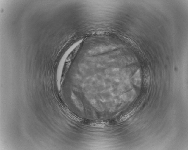 X0000059840661200511181514