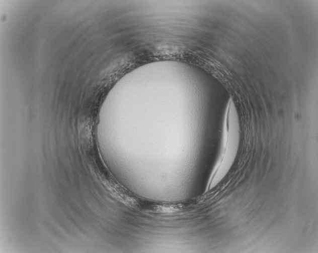 X0000059840662200511181514