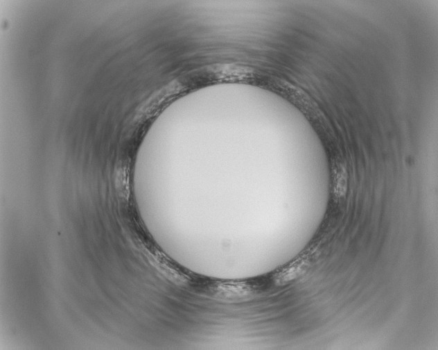 X0000059840666200511181514