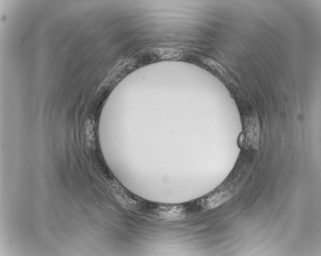 X0000059840667200511181514