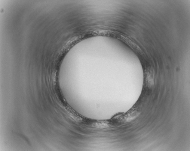 X0000059840668200511181514