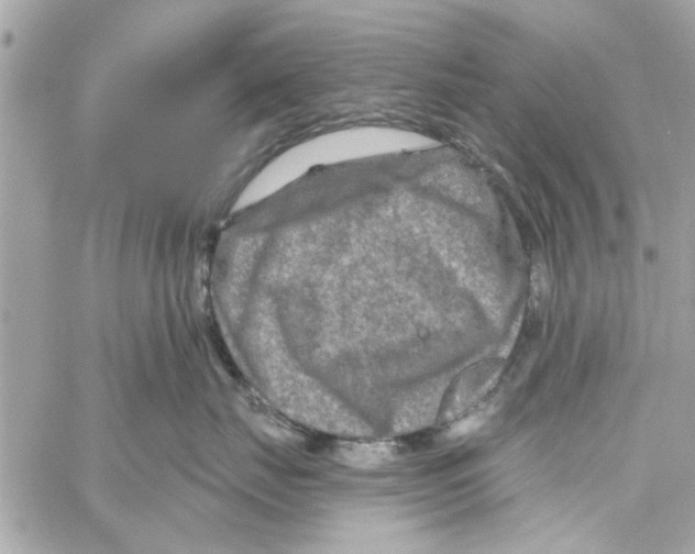 X0000059840671200511181514