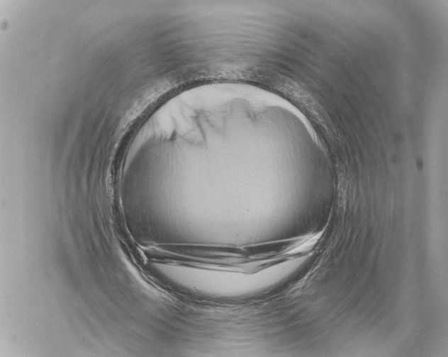 X0000059840674200511181514