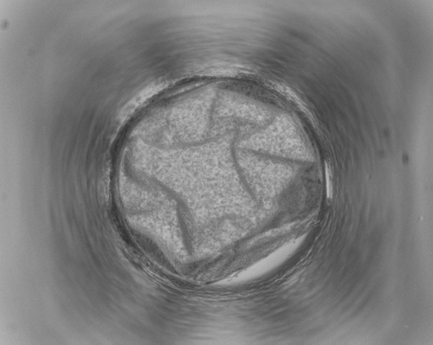 X0000059840675200511181514