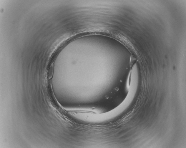 X0000059840676200511181514