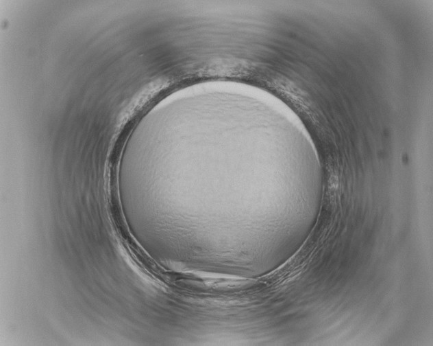 X0000059840678200511181513