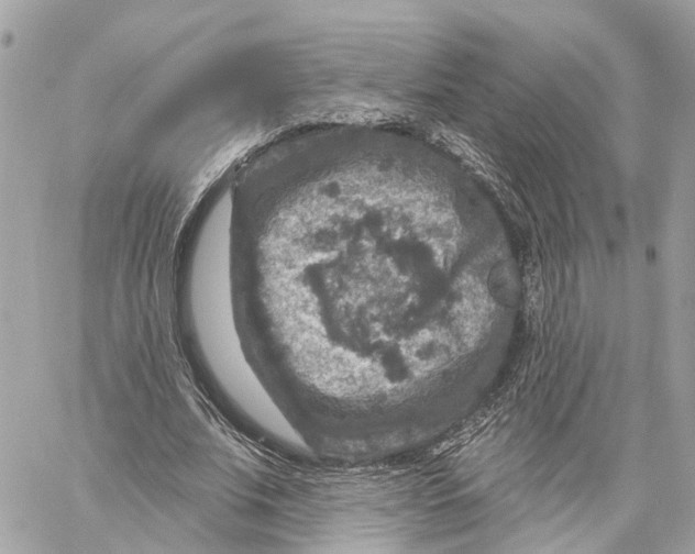 X0000059840679200511181513