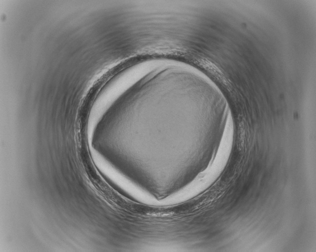 X0000059840680200511181513