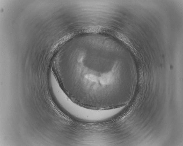 X0000059840681200511181513