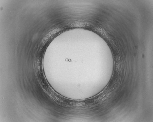 X0000059840683200511181513