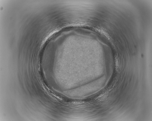 X0000059840684200511181513