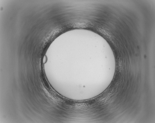 X0000059840686200511181513