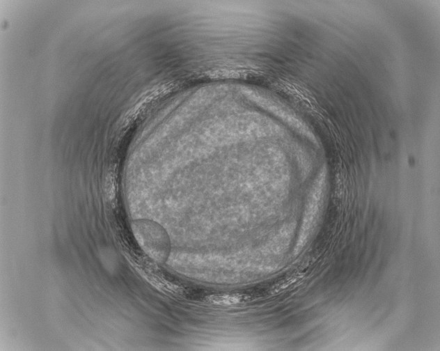 X0000059840687200511181513