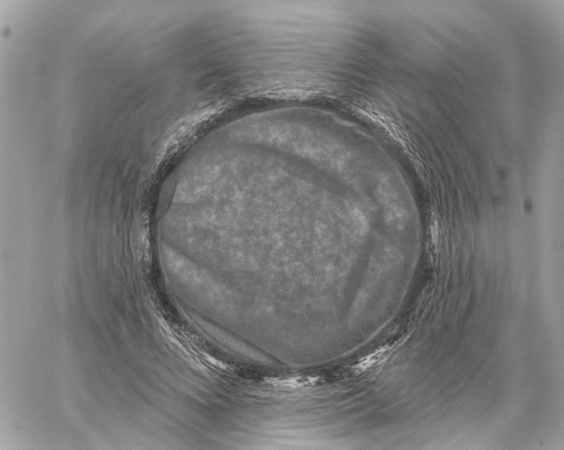 X0000059840688200511181513