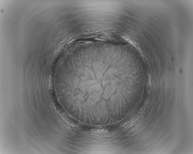 X0000059840689200511181513