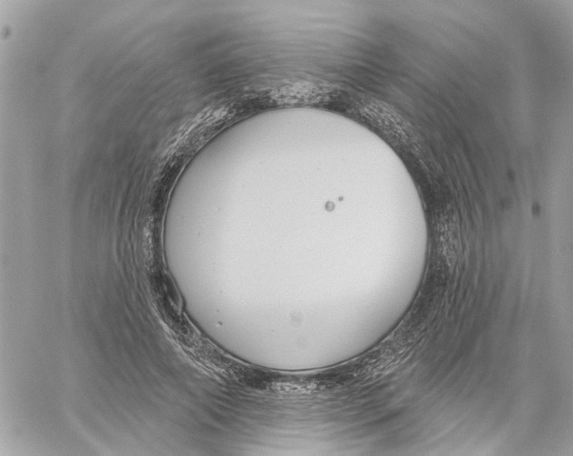 X0000059840690200511181513