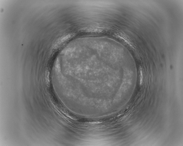 X0000059840692200511181513