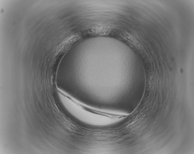 X0000059840693200511181513