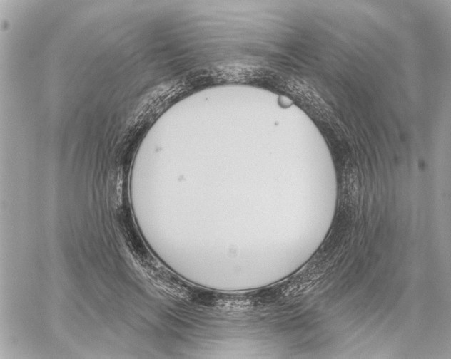 X0000059840694200511181513