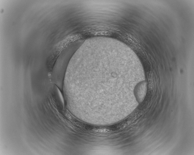 X0000059840695200511181513