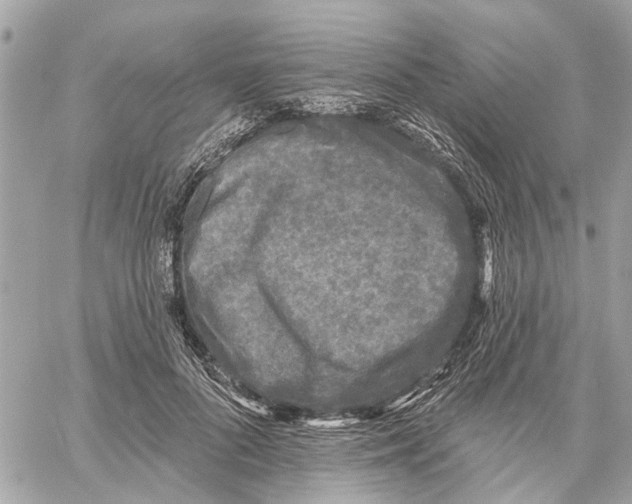 X0000059840696200511181513