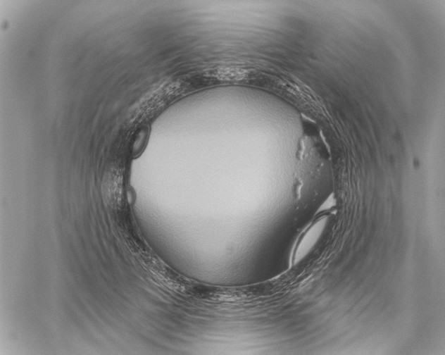 X0000059840697200511181513