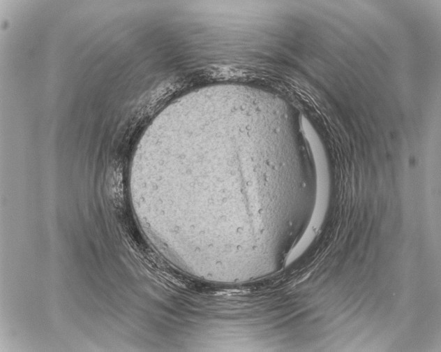 X0000059840700200511181513