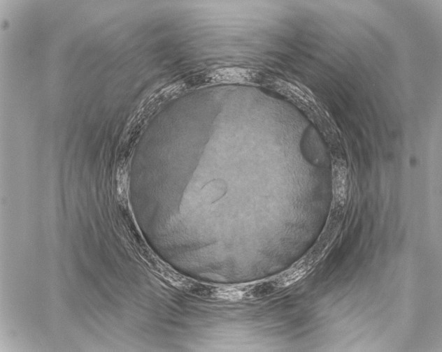 X0000059840701200511181513