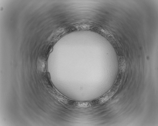 X0000059840709200511181513