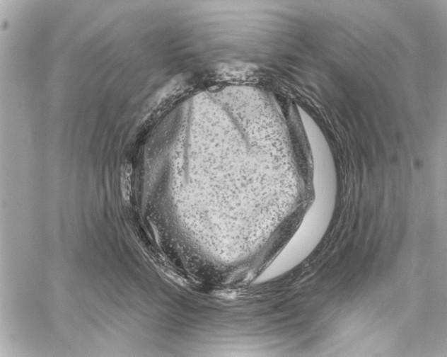 X0000059840712200511181513