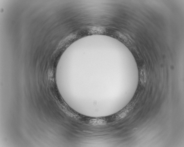 X0000059840714200511181513