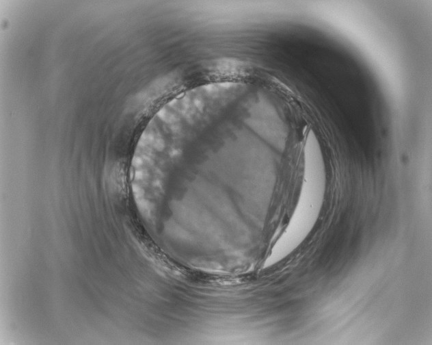 X0000059840715200511181513