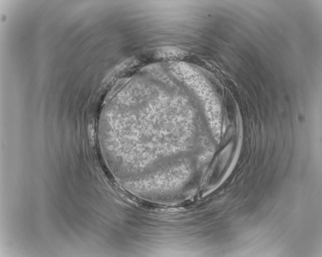 X0000059840716200511181513