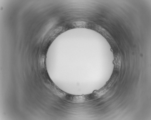 X0000059840717200511181513